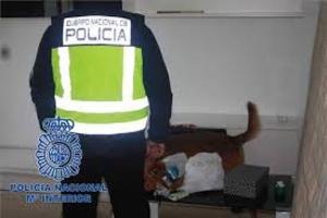 Un amplo operativa contra o tráfico de drogas remata con 21 detidos en varios municipios das Rías Baixas, como Boiro e Rianxo