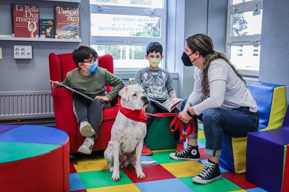 Estas son Dana e Nora, as cadelas que axudan a ler ás crianzas de Culleredo